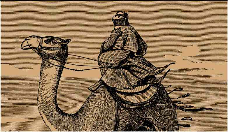 OMID DJALILI A STRANGE BIT OF HISTORY